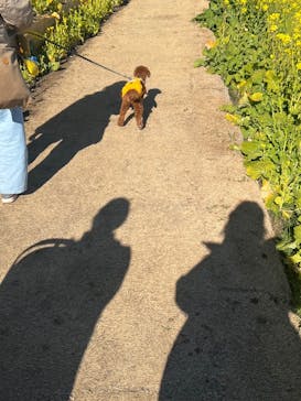 マザー牧場に投稿された画像（2025/2/11）