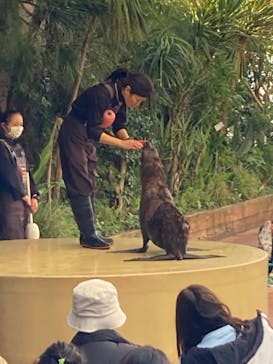 マクセル アクアパーク品川に投稿された画像（2025/2/11）