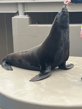 アクアワールド茨城県大洗水族館に投稿された画像（2025/2/11）