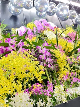 世界らん展2026-花と緑の祭典-に投稿された画像（2025/2/11）