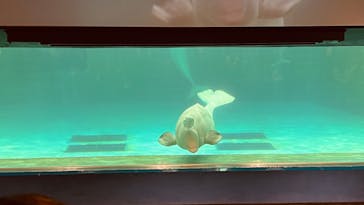 鴨川シーワールドに投稿された画像（2025/2/11）