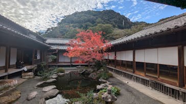 仙巌園に投稿された画像（2025/2/11）