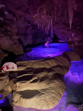 おきなわワールドに投稿された画像（2025/2/11）