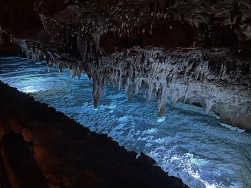 おきなわワールドに投稿された画像（2025/2/11）