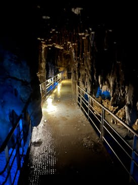 おきなわワールドに投稿された画像（2025/2/11）