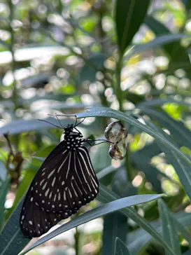 多摩動物公園に投稿された画像（2025/2/11）
