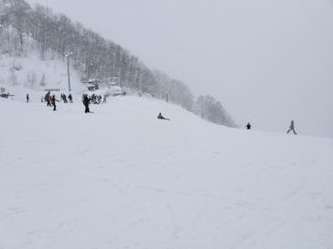 奥利根スノーパークに投稿された画像（2025/2/11）