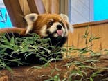 伊豆シャボテン動物公園に投稿された画像（2025/2/11）