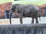 東武動物公園に投稿された画像（2025/2/11）