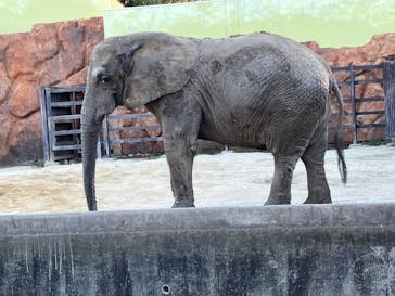 東武動物公園に投稿された画像（2025/2/11）