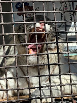 宇都宮動物園に投稿された画像（2025/2/11）