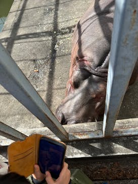 宇都宮動物園に投稿された画像（2025/2/11）