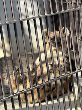 宇都宮動物園に投稿された画像（2025/2/11）