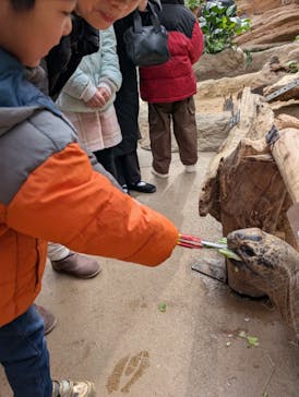 神戸どうぶつ王国に投稿された画像（2025/2/11）