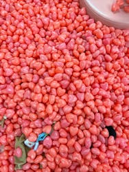 アメイジングワールド 蟹江店に投稿された画像（2025/2/11）