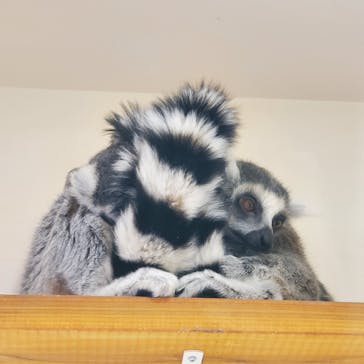 アニタッチ 東京ドームシティに投稿された画像（2025/2/11）