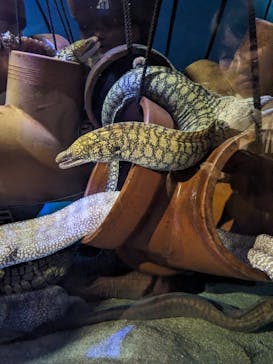 竹島水族館に投稿された画像（2025/2/11）