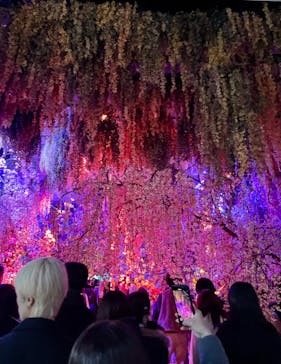 蜷川実花展 with EiM：彼岸の光、此岸の影 NINAGAWA Mika with EiM：Lights of the beyond, Shadows of this worldに投稿された画像（2025/2/11）