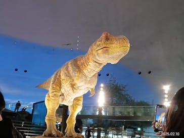 福井県立恐竜博物館に投稿された画像（2025/2/11）