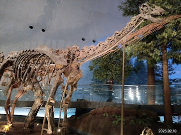 福井県立恐竜博物館に投稿された画像（2025/2/11）