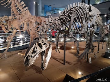 福井県立恐竜博物館に投稿された画像（2025/2/11）