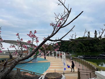 沖縄こどもの国に投稿された画像（2025/2/11）