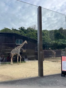 沖縄こどもの国に投稿された画像（2025/2/11）