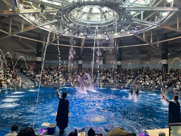 マクセル アクアパーク品川に投稿された画像（2025/2/11）