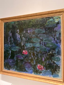 モネ 睡蓮のとき（国立西洋美術館）に投稿された画像（2025/2/11）