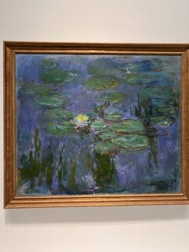 モネ 睡蓮のとき（国立西洋美術館）に投稿された画像（2025/2/11）