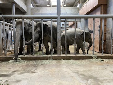 名古屋市東山動植物園に投稿された画像（2025/2/11）