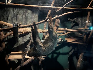 名古屋市東山動植物園に投稿された画像（2025/2/11）