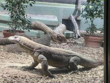名古屋市東山動植物園に投稿された画像（2025/2/11）