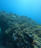 M.a.r.i.n.e Factoryに投稿された画像（2025/2/12）