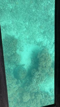 川平マリンサービスに投稿された画像（2025/2/11）