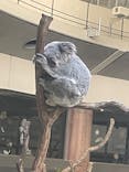 多摩動物公園に投稿された画像（2025/2/12）