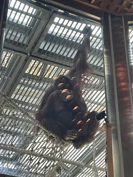 多摩動物公園に投稿された画像（2025/2/11）