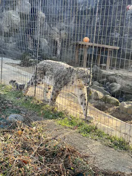 多摩動物公園に投稿された画像（2025/2/11）