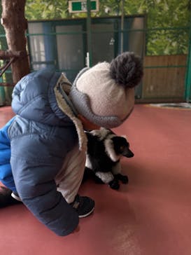 那須ワールドモンキーパークに投稿された画像（2025/2/11）