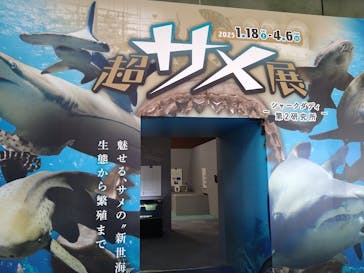 アクアワールド茨城県大洗水族館に投稿された画像（2025/2/12）