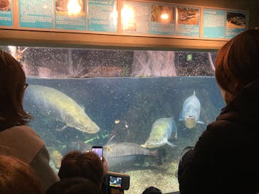世界淡水魚園水族館　アクア・トトぎふに投稿された画像（2025/2/12）