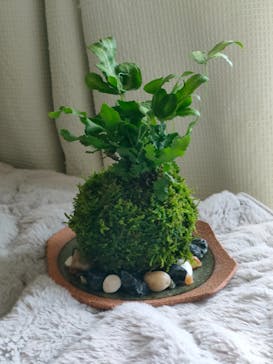 カルチャースクールいろはに投稿された画像（2025/2/12）