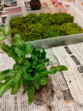 カルチャースクールいろはに投稿された画像（2025/2/12）