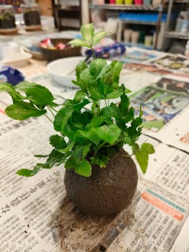 カルチャースクールいろはに投稿された画像（2025/2/12）