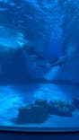 名古屋港水族館に投稿された画像（2025/2/12）