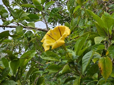 ビオスの丘に投稿された画像（2025/2/12）