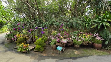 ビオスの丘に投稿された画像（2025/2/12）