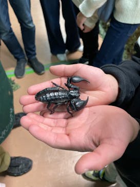 いきもの探検隊上尾に投稿された画像（2025/2/12）