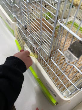 いきもの探検隊上尾に投稿された画像（2025/2/12）