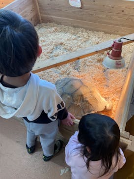 いきもの探検隊上尾に投稿された画像（2025/2/12）